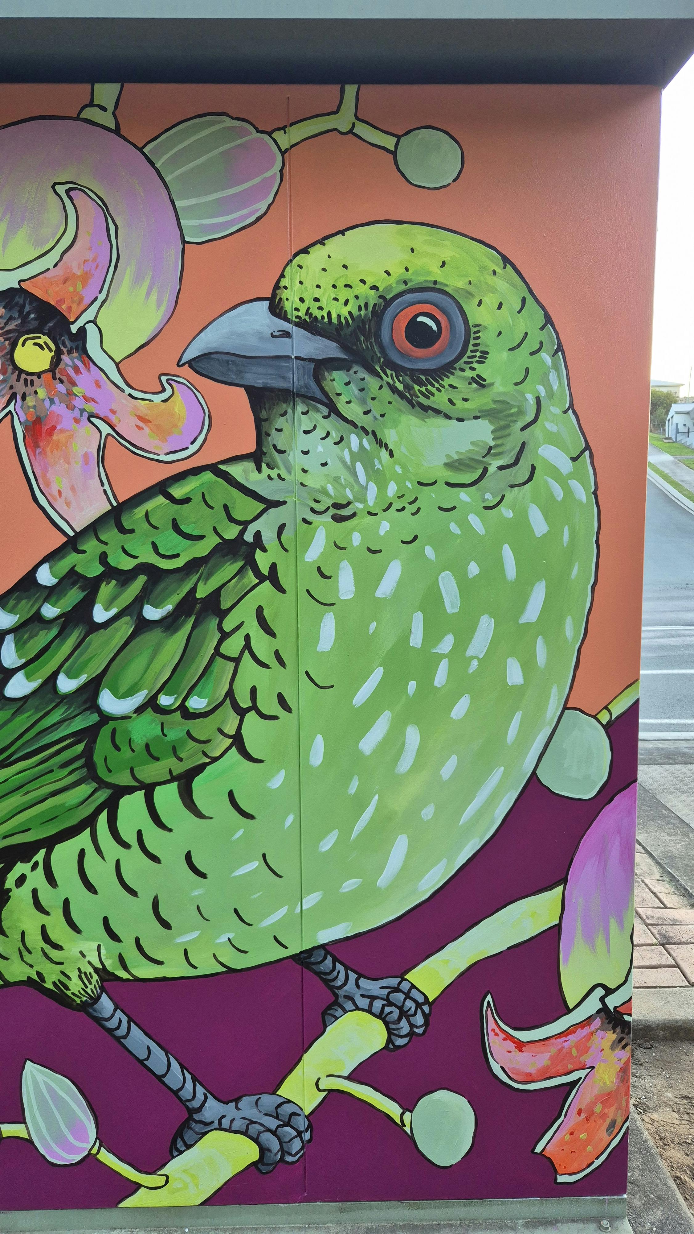 CLose up - Green Catbird