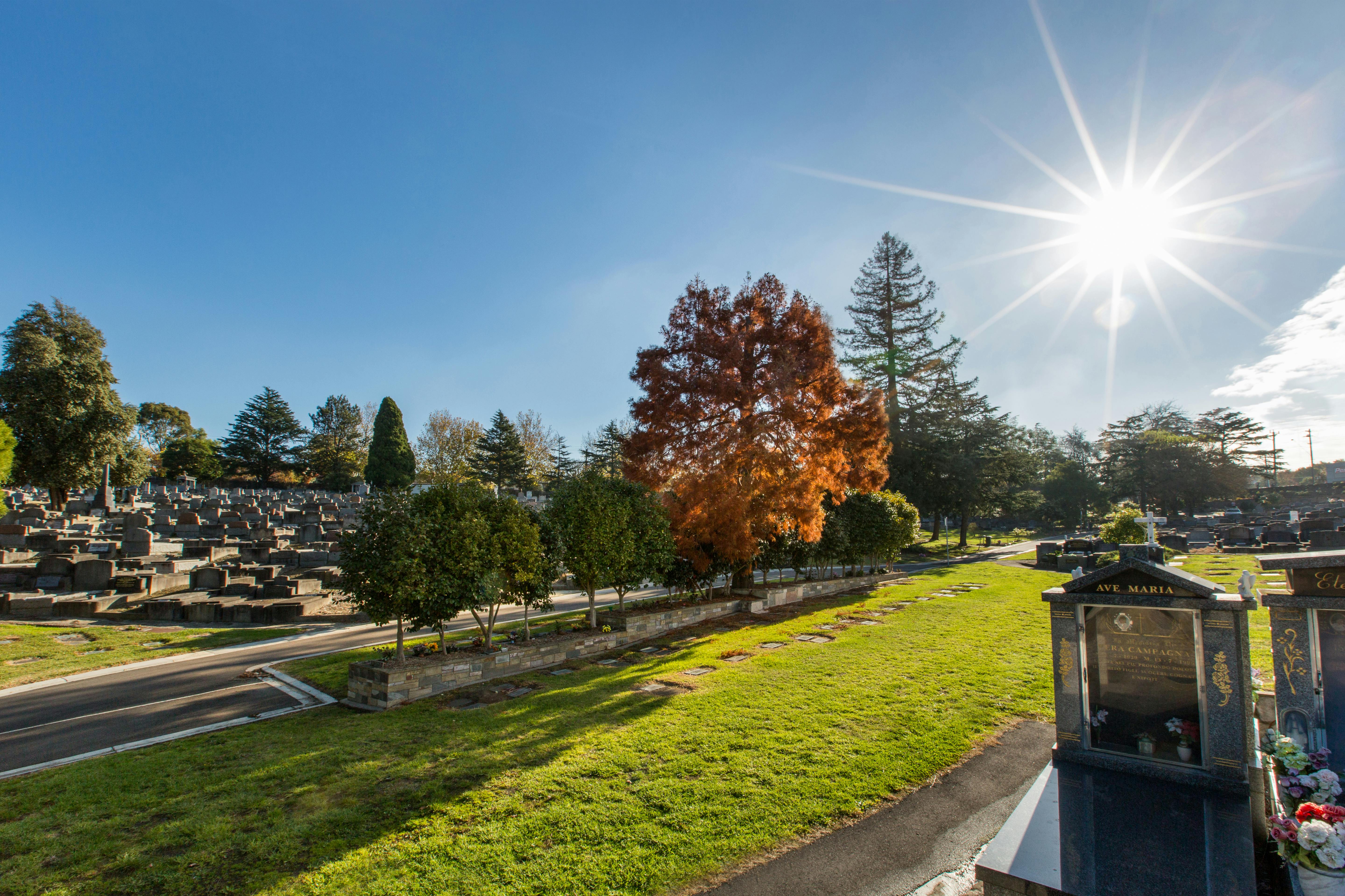 Burwood Cemetery.jpg