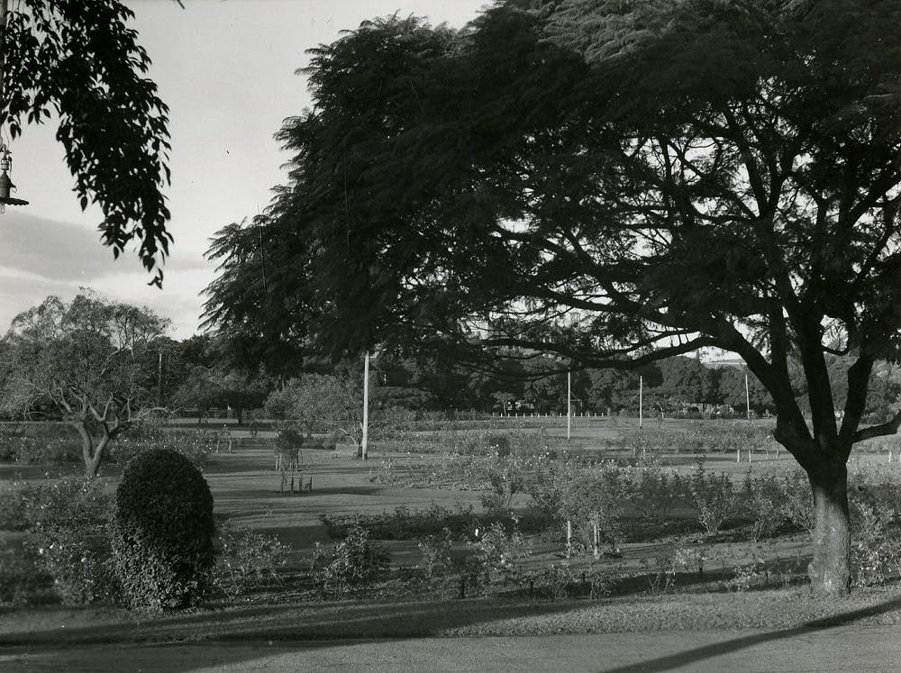 New Farm Park, 1950