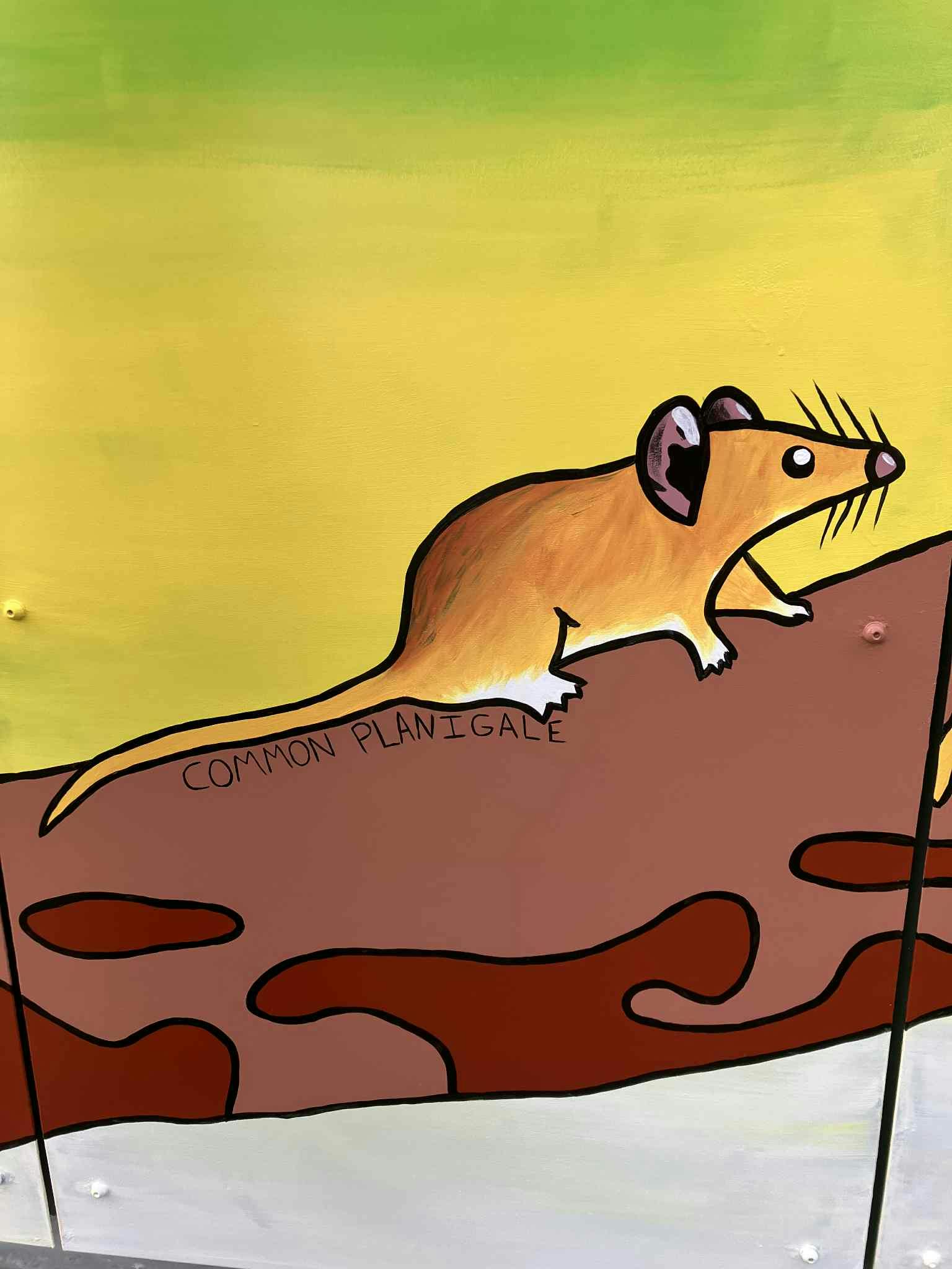 Jayda Bruce finished artwork