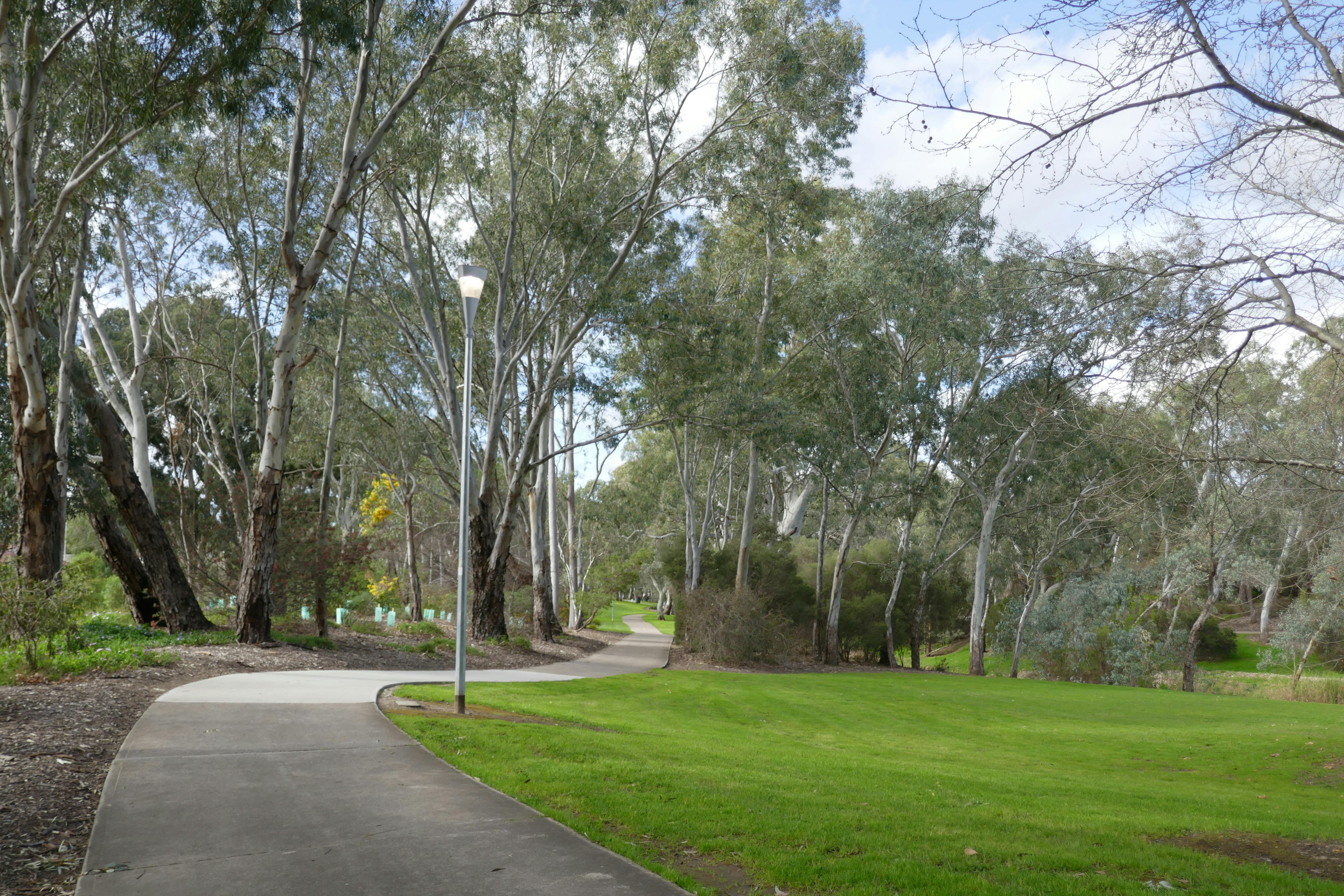 Linear Park near Mahogany Avenue, Dernancourt