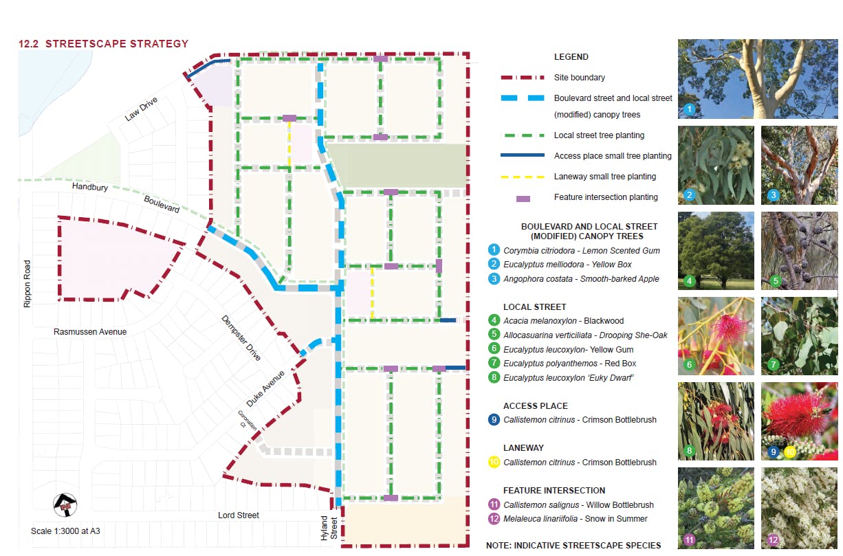 Streetscape Strategy.png
