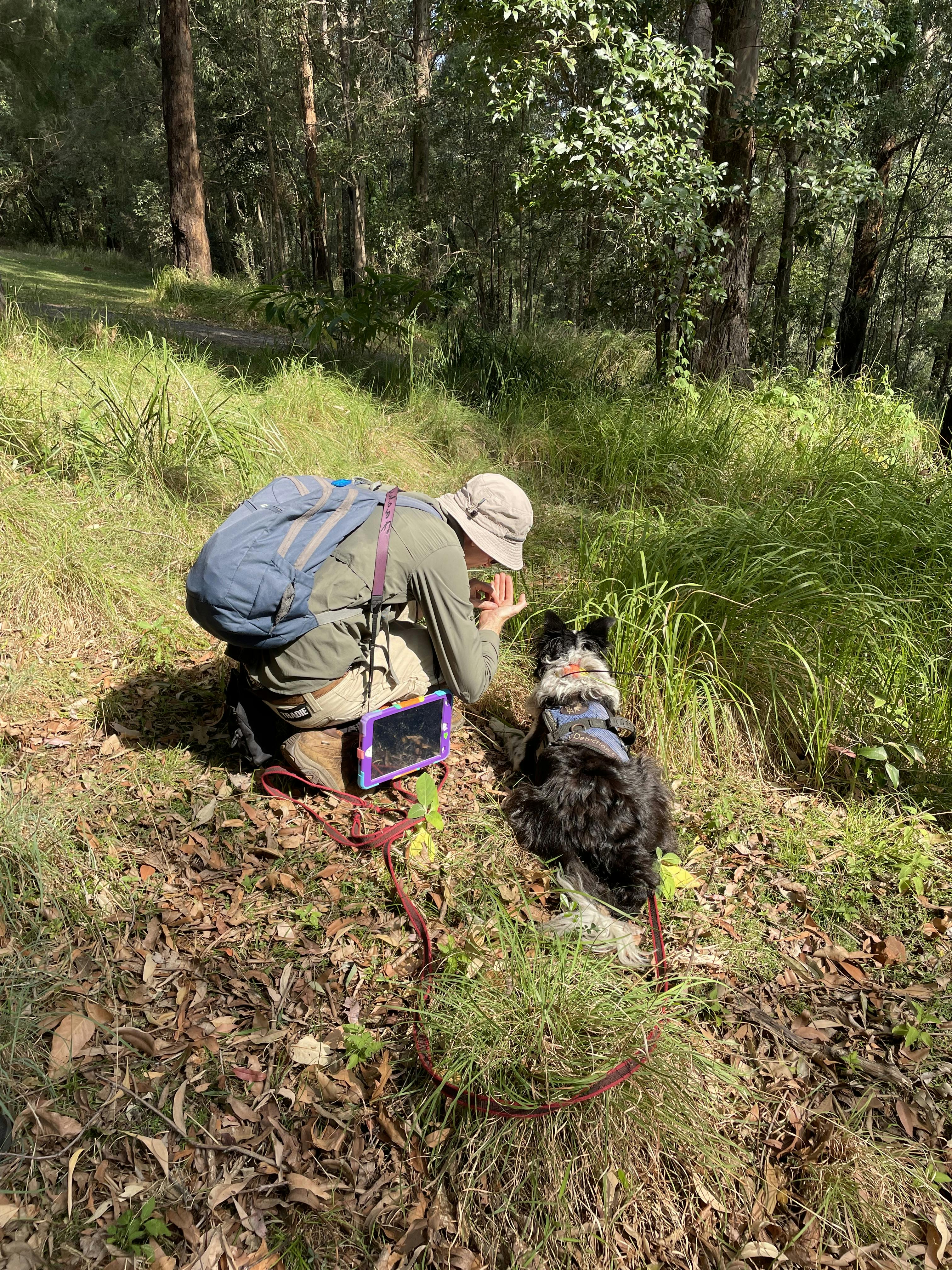 Marcus (handler) and Austin