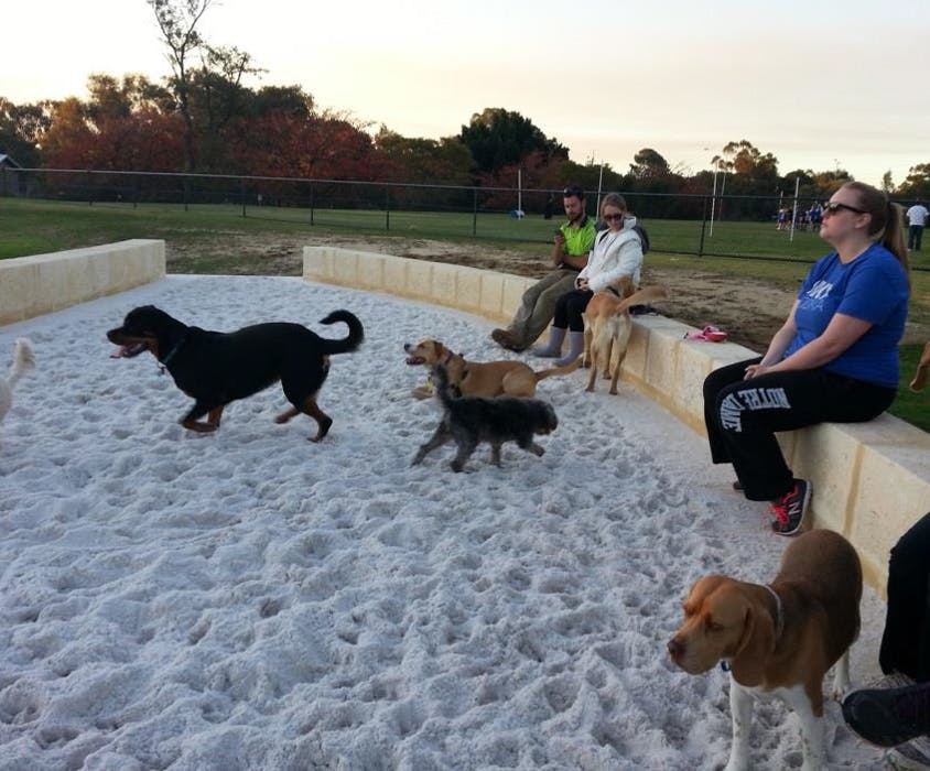 Dog Sand Pit (example)