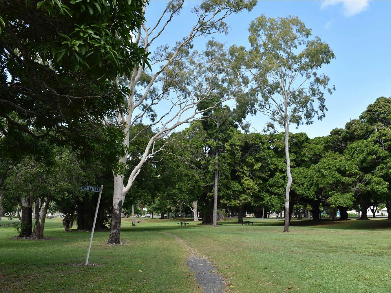Pedestrian Track (Elizabeth Street to Seaforth Esplanade Road)  - This photograph is looking east from the track towards the parking area servicing the swimming enclosure and associated picnic area.
