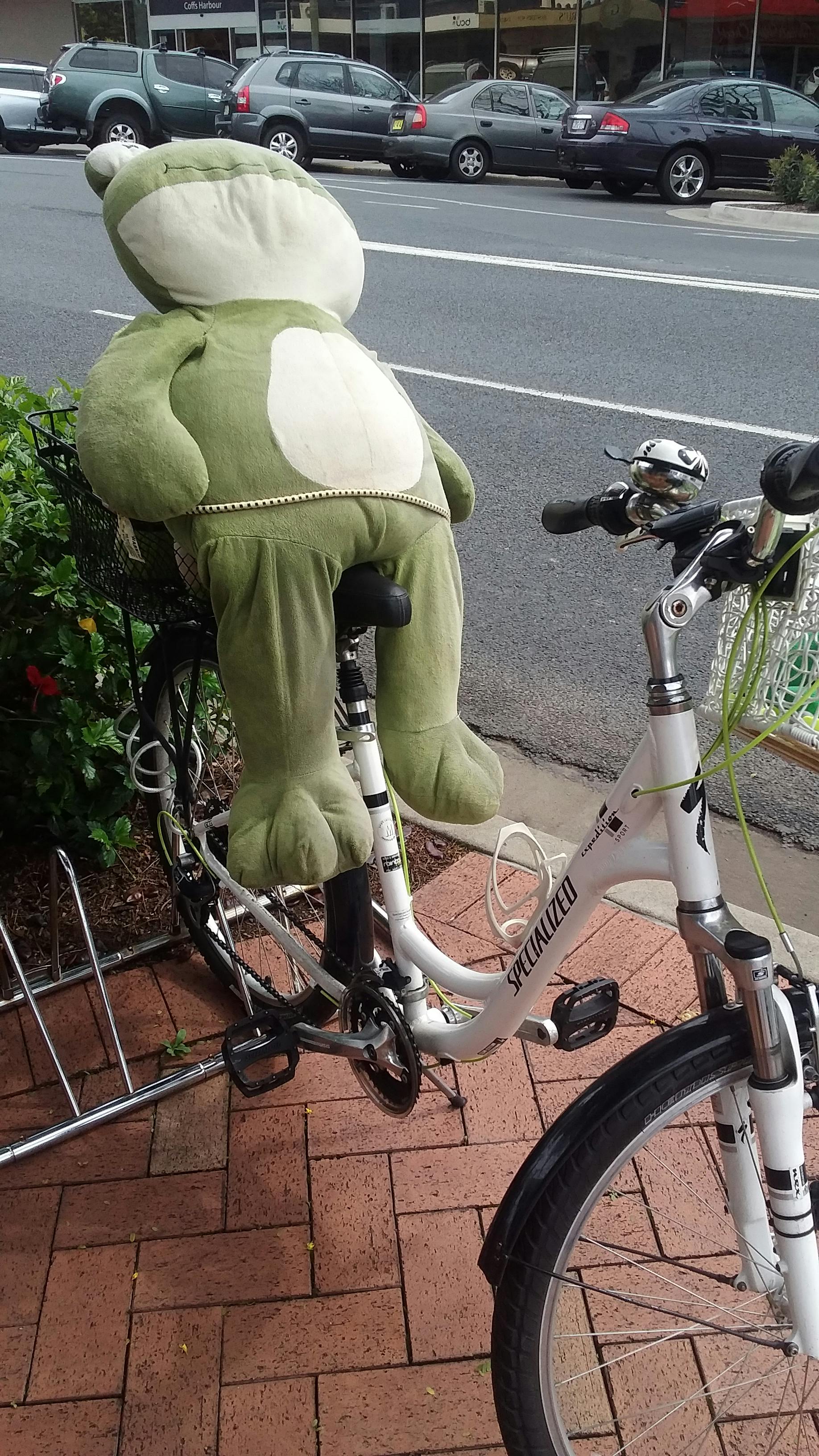 Happy Frog Bike