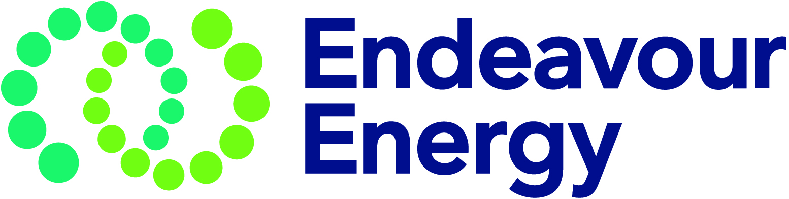 Your Say Endeavour Energy