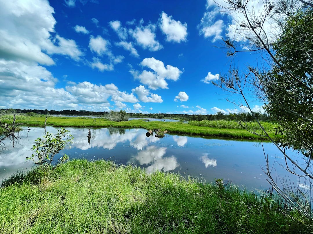 Yandina Creek Wetlands Tours Community Hub