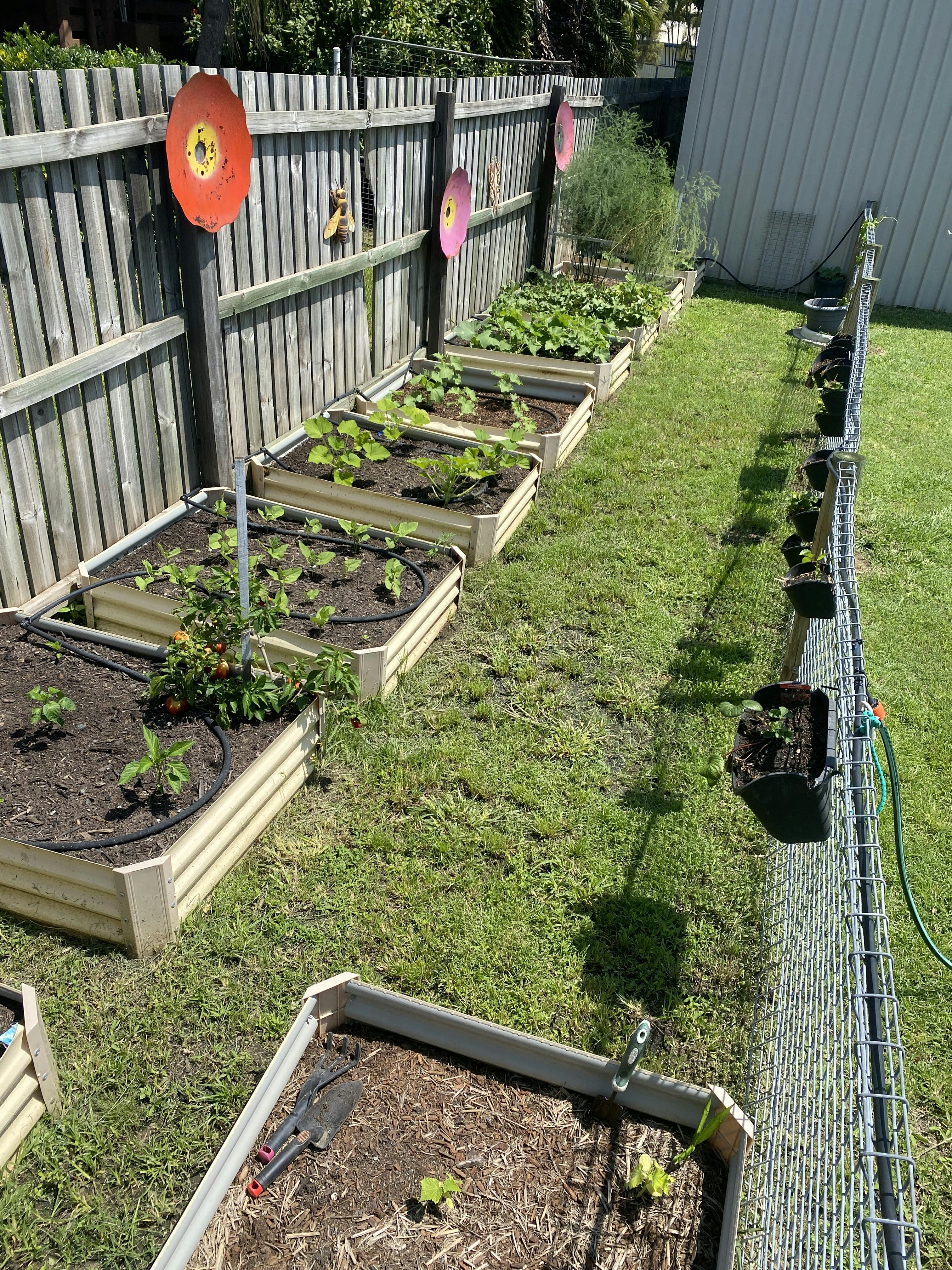 Harvesting Hero.jpeg