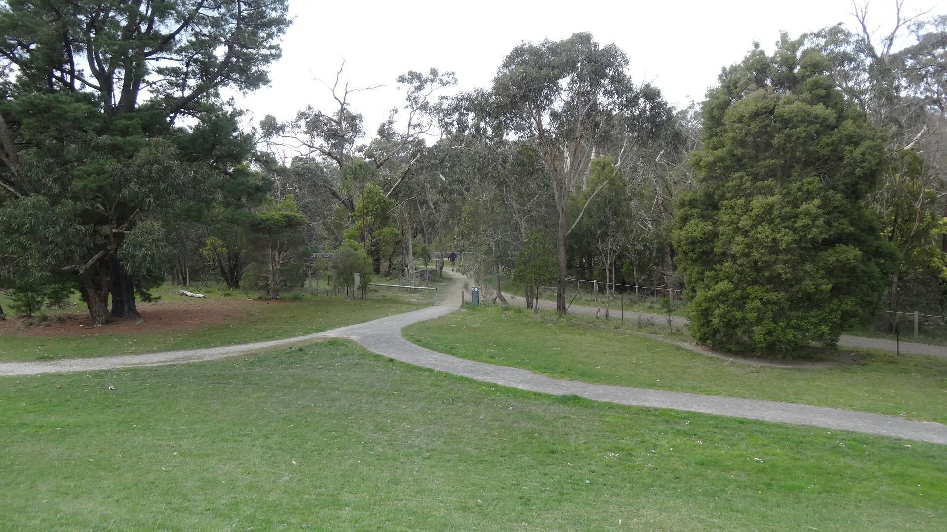 Walking Path At Domeney Reserve
