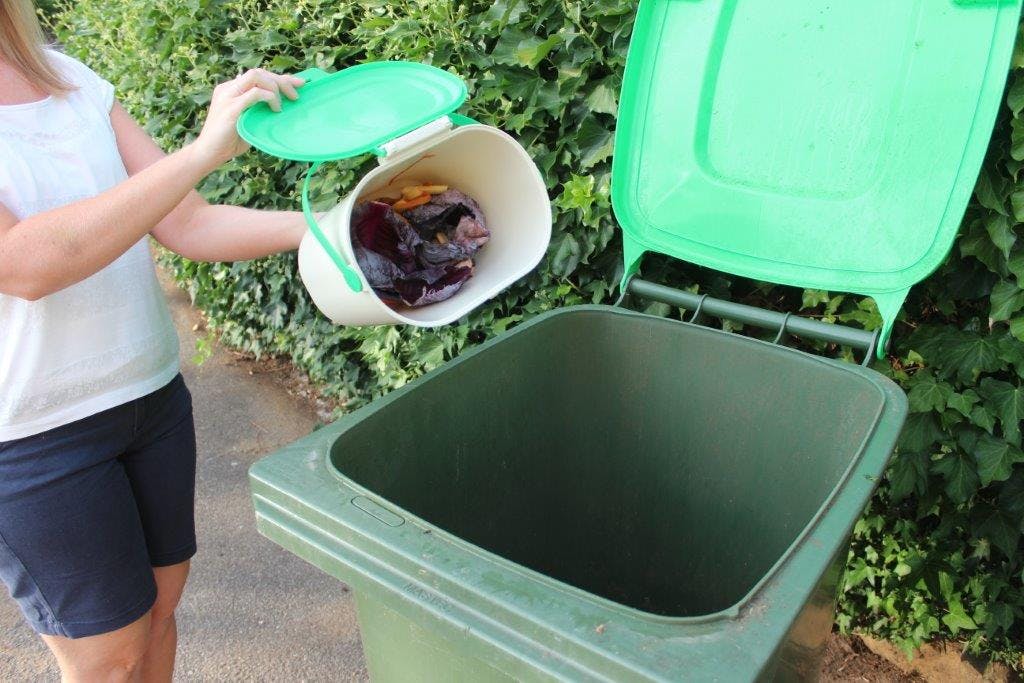 From Caddy to Bin