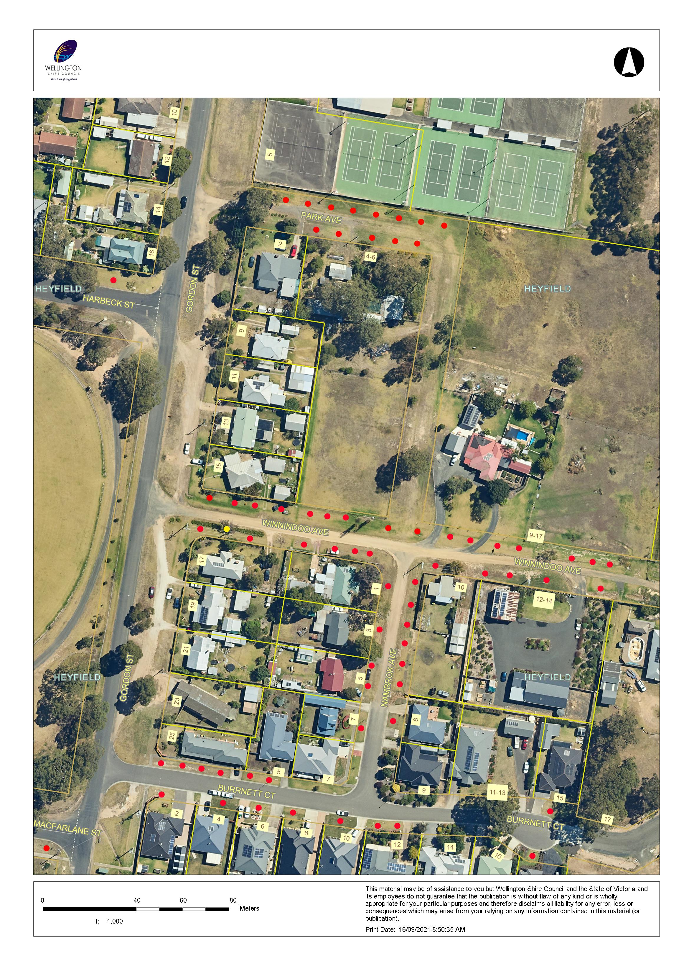 Heyfield Town Tree Plan (Yr3) - Map 2