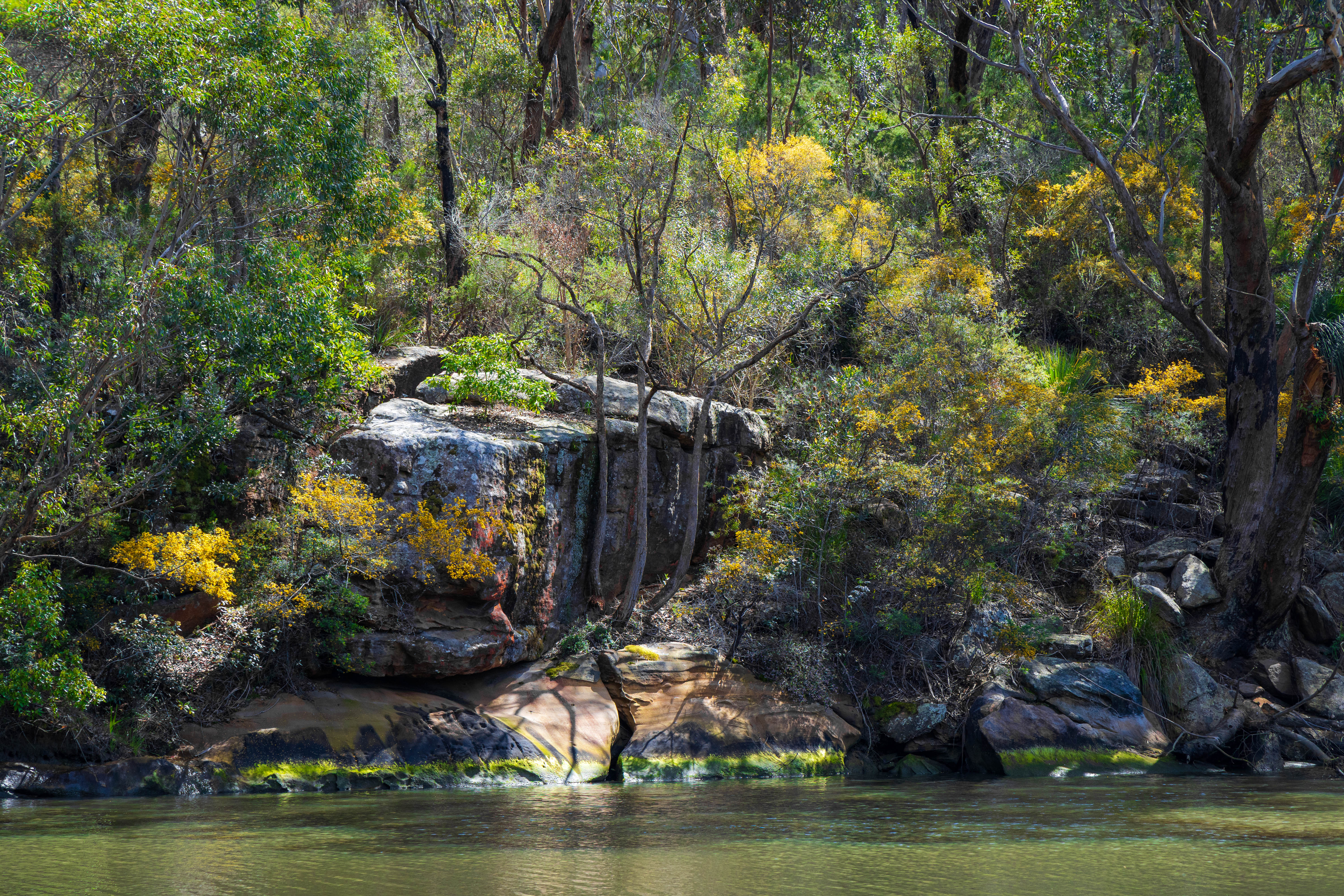 Outer Sydney Harbour Coastal Management Program