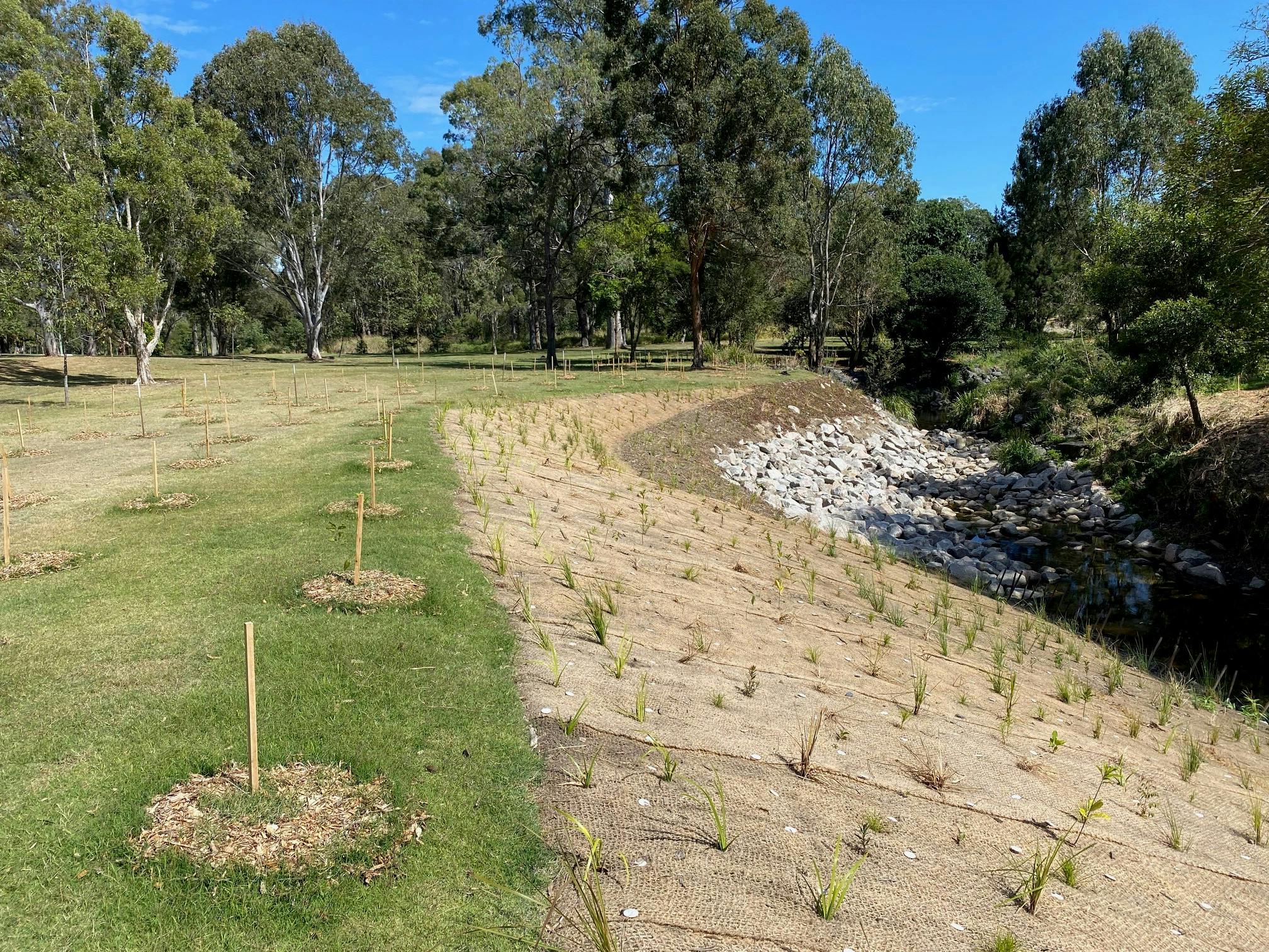 Downfall Creek - another view of the rehabilitated works on the creek bank