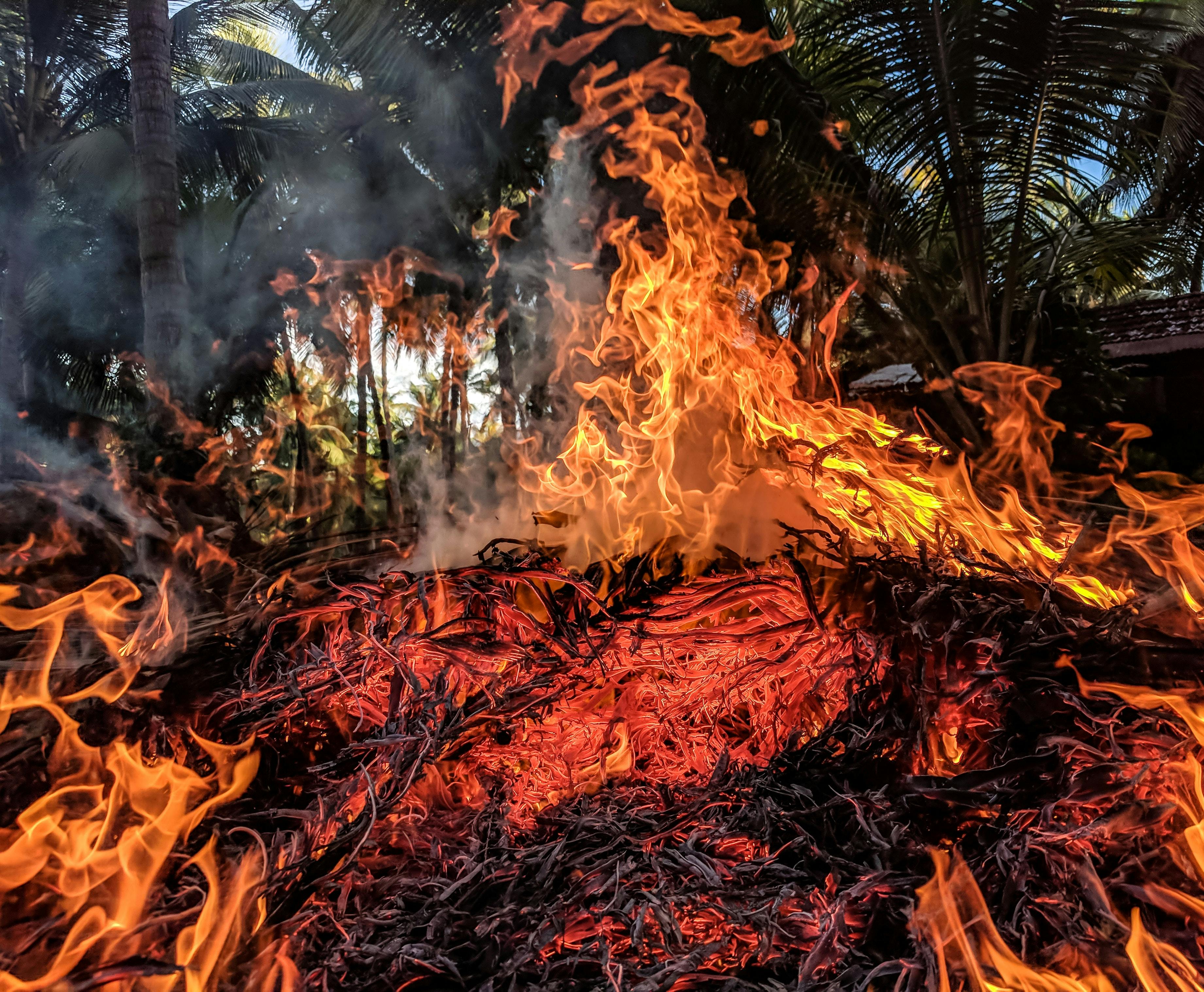 Tropical bushfire