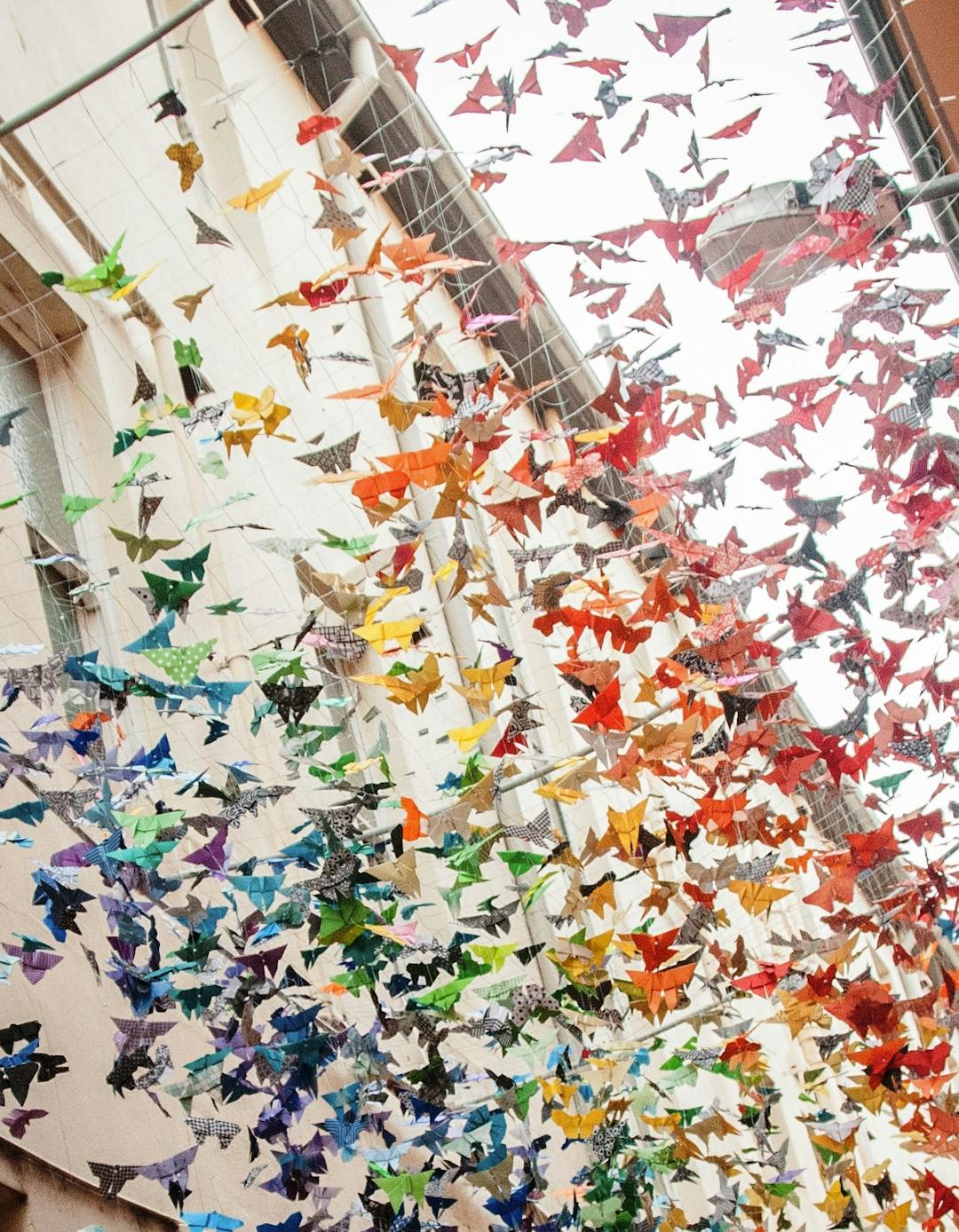 1000 Origami Butterflies hanging in Cinders Lane by artist Genevieve Tavener