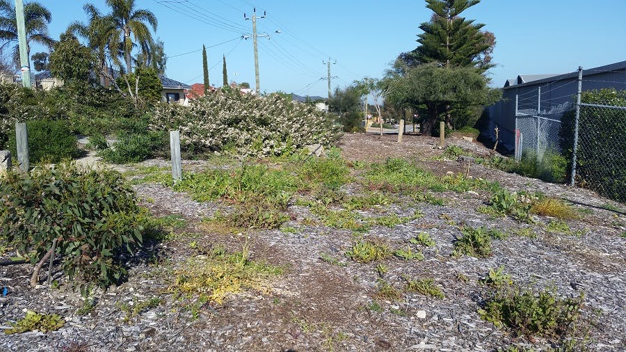 Clarke Street Site (as of September 2016)