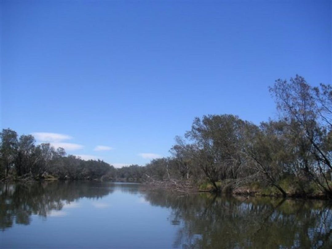 Mandjoogoordap Dreaming River with trees on either side.