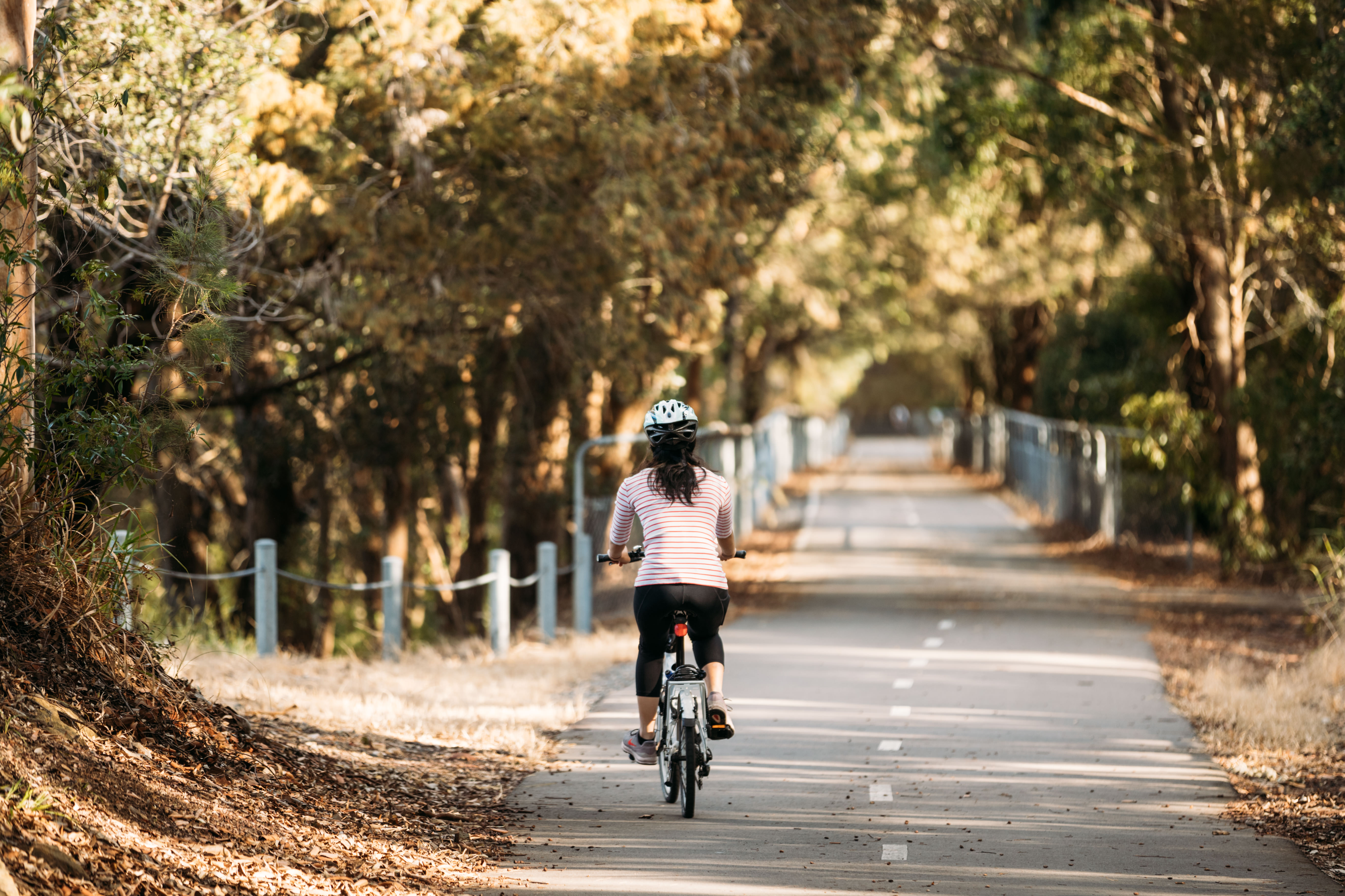 Development Control Plan general amendment