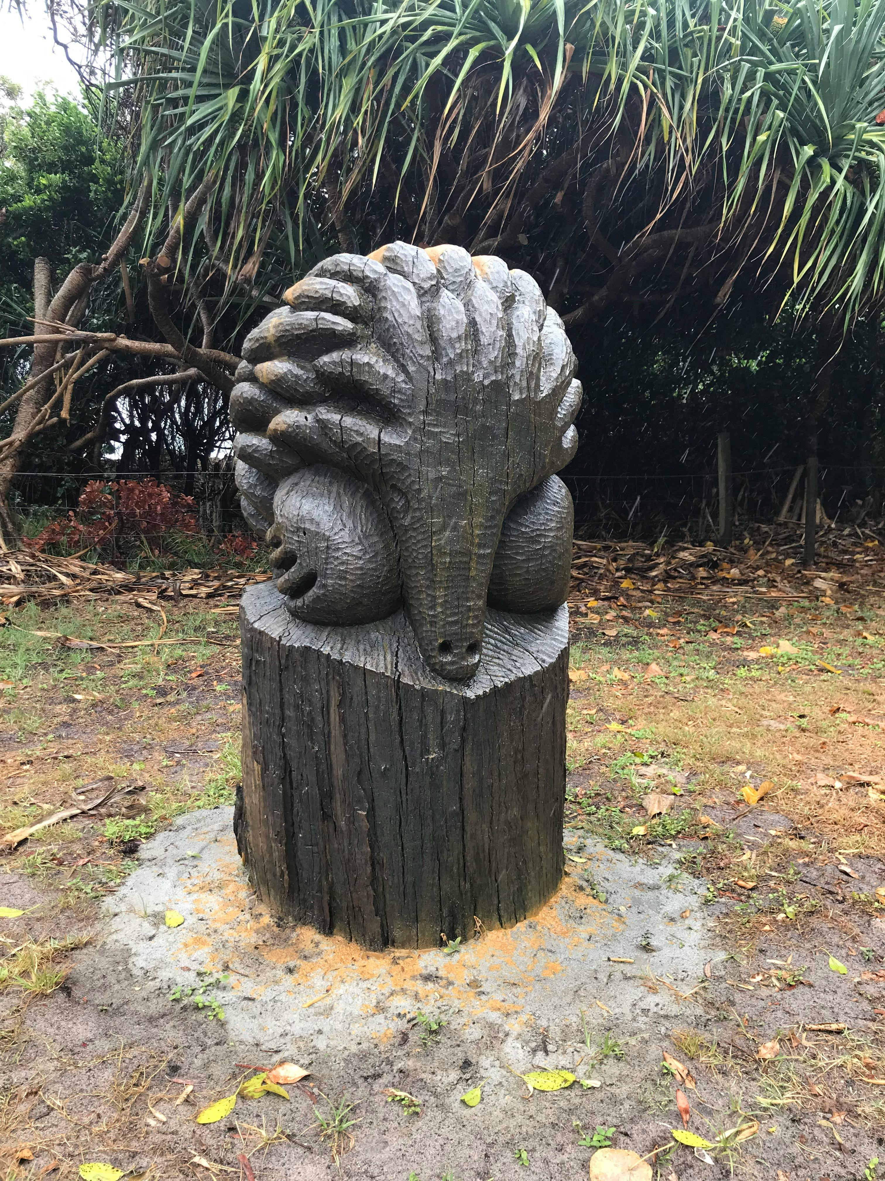 Echidna restored