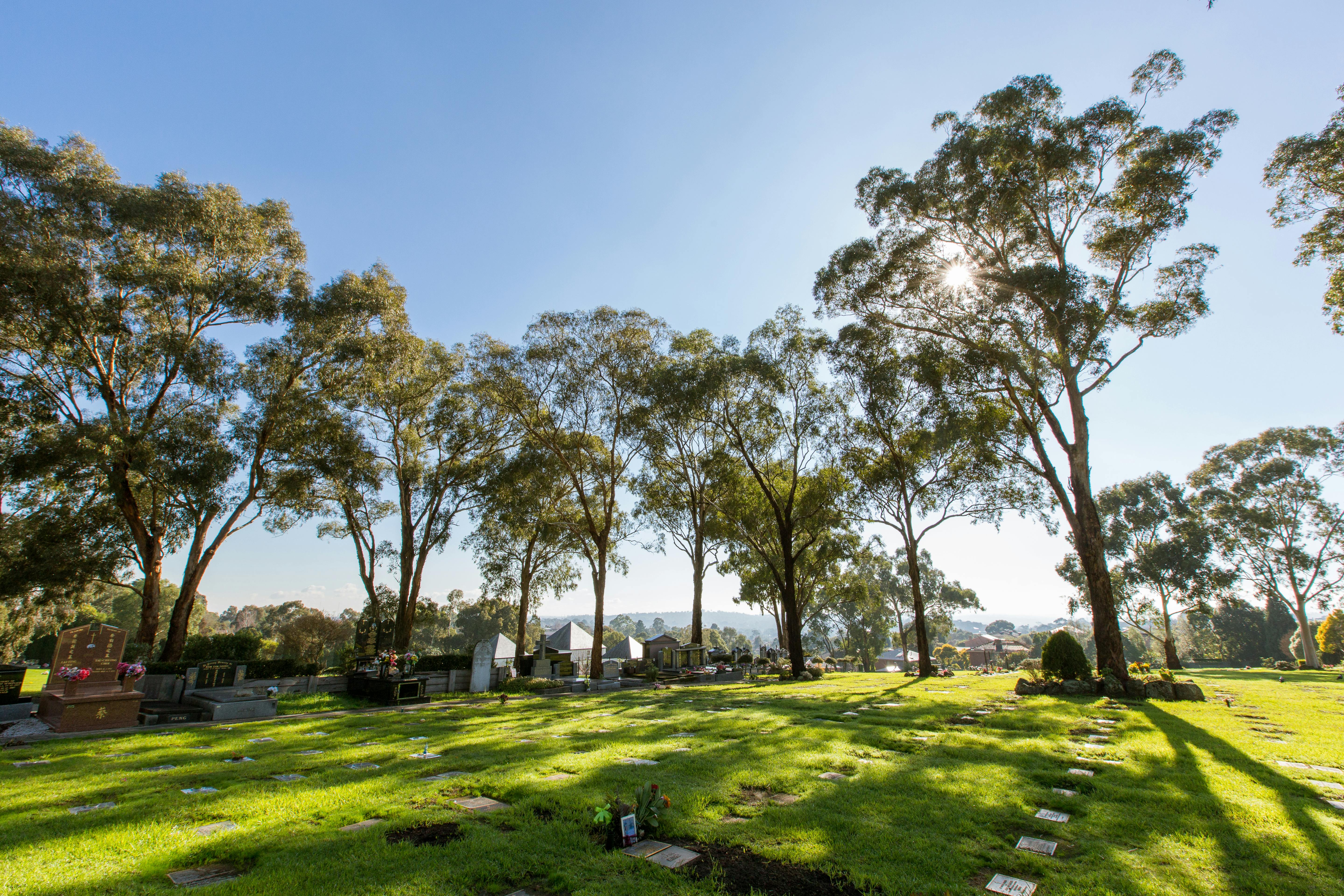 Templestowe Cemetery - hero.jpg