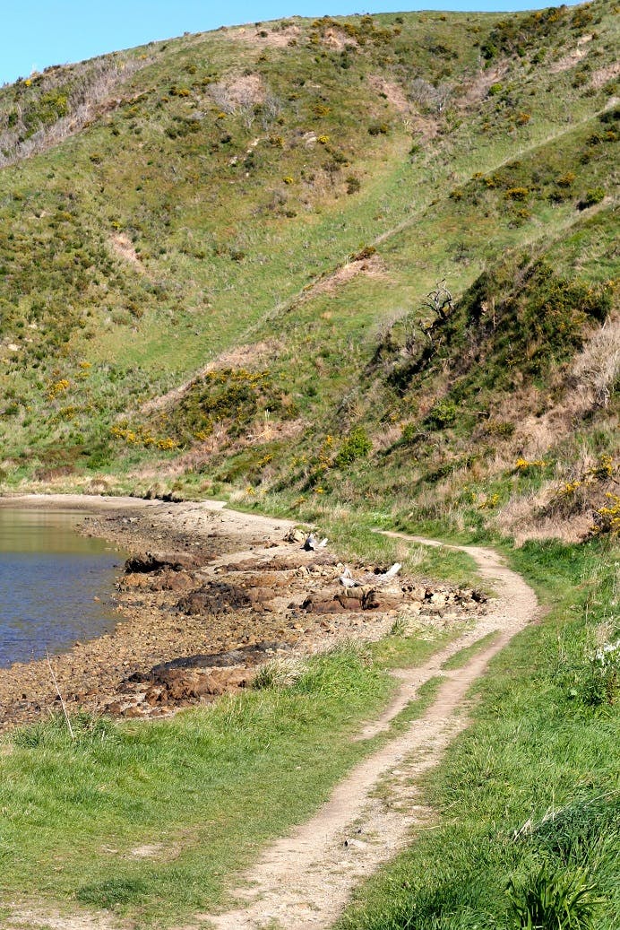 Onepoto Coastal Track