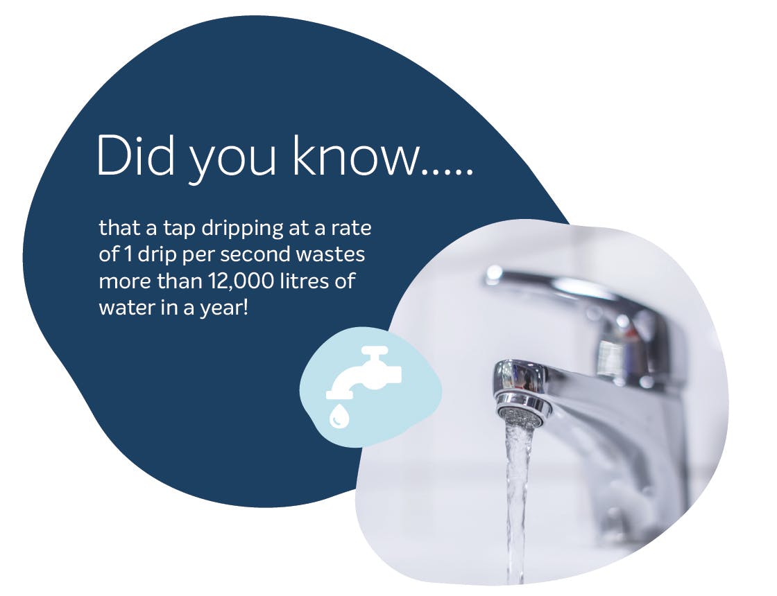Fact 5 Water from a dripping tap