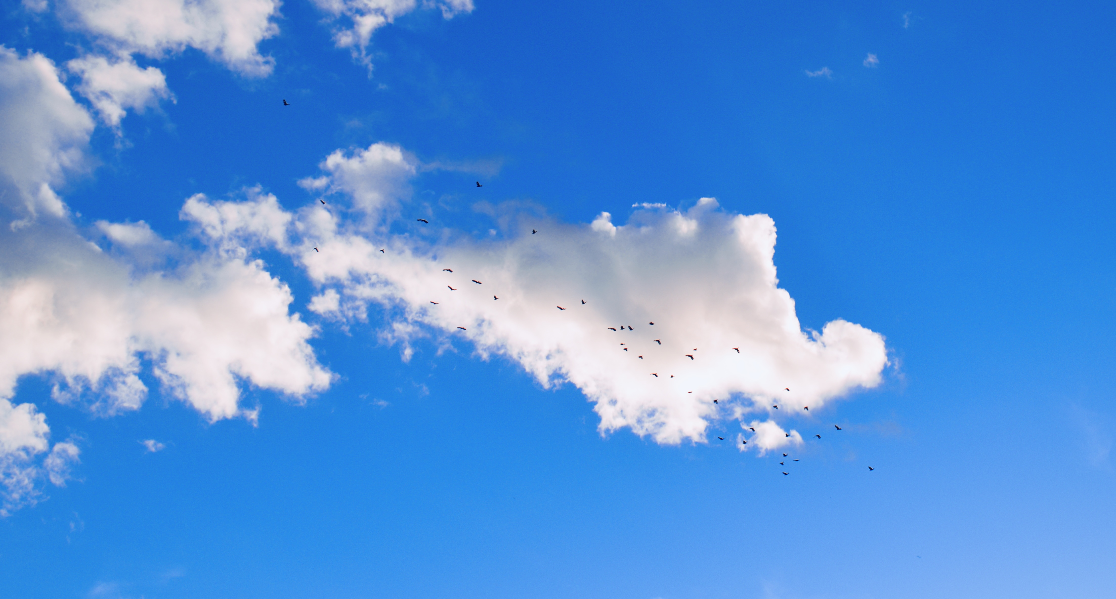 Hunter Leitch - Cloud Chasers