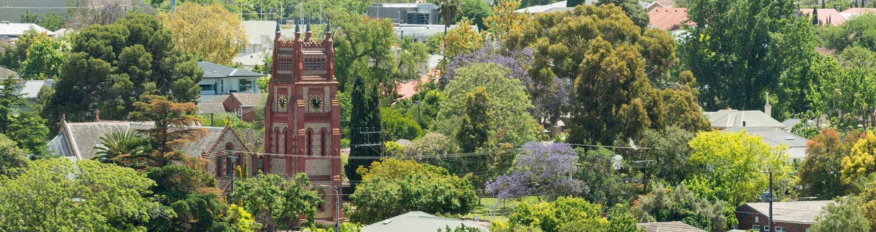 Walkerville View from above with St Andrew's Church tower