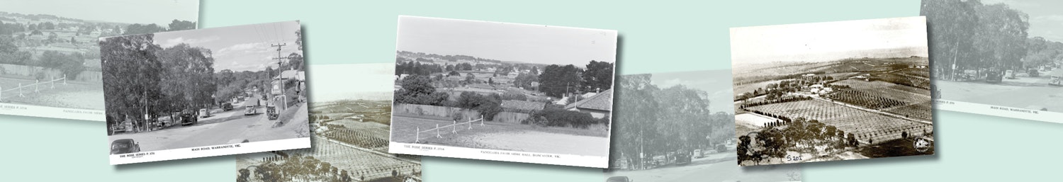 Vintage photos of landscapes of Manningham orchards, farm land and streetscapes