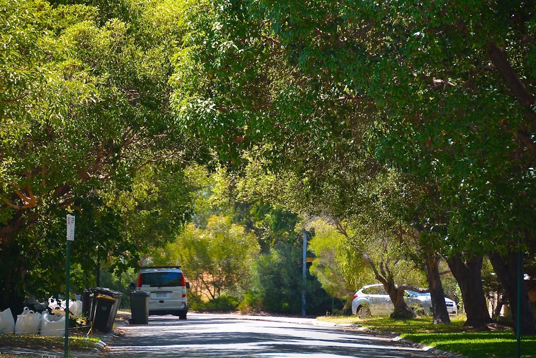Tree-lined street in Town of Mosman Park
