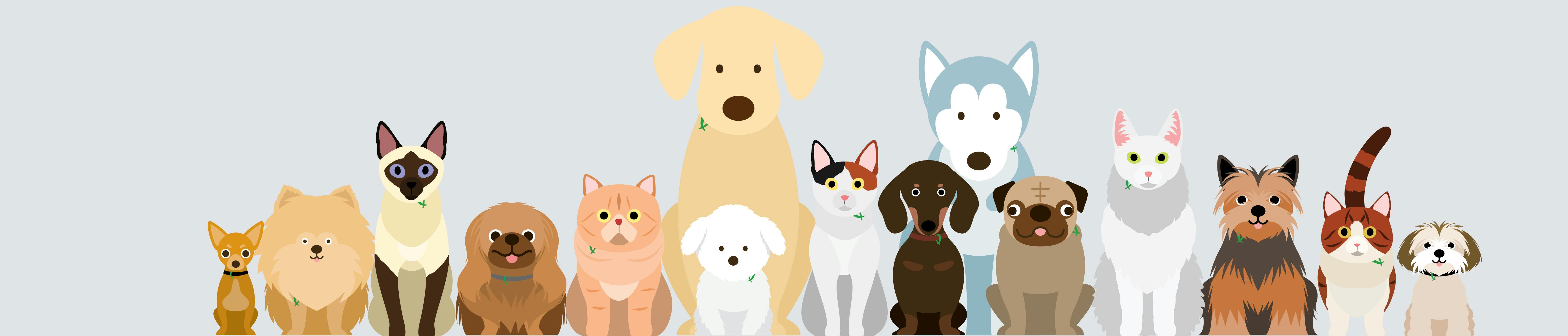 Cartoon dogs and cats standing in a row