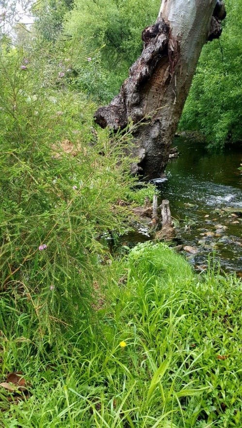 Image2