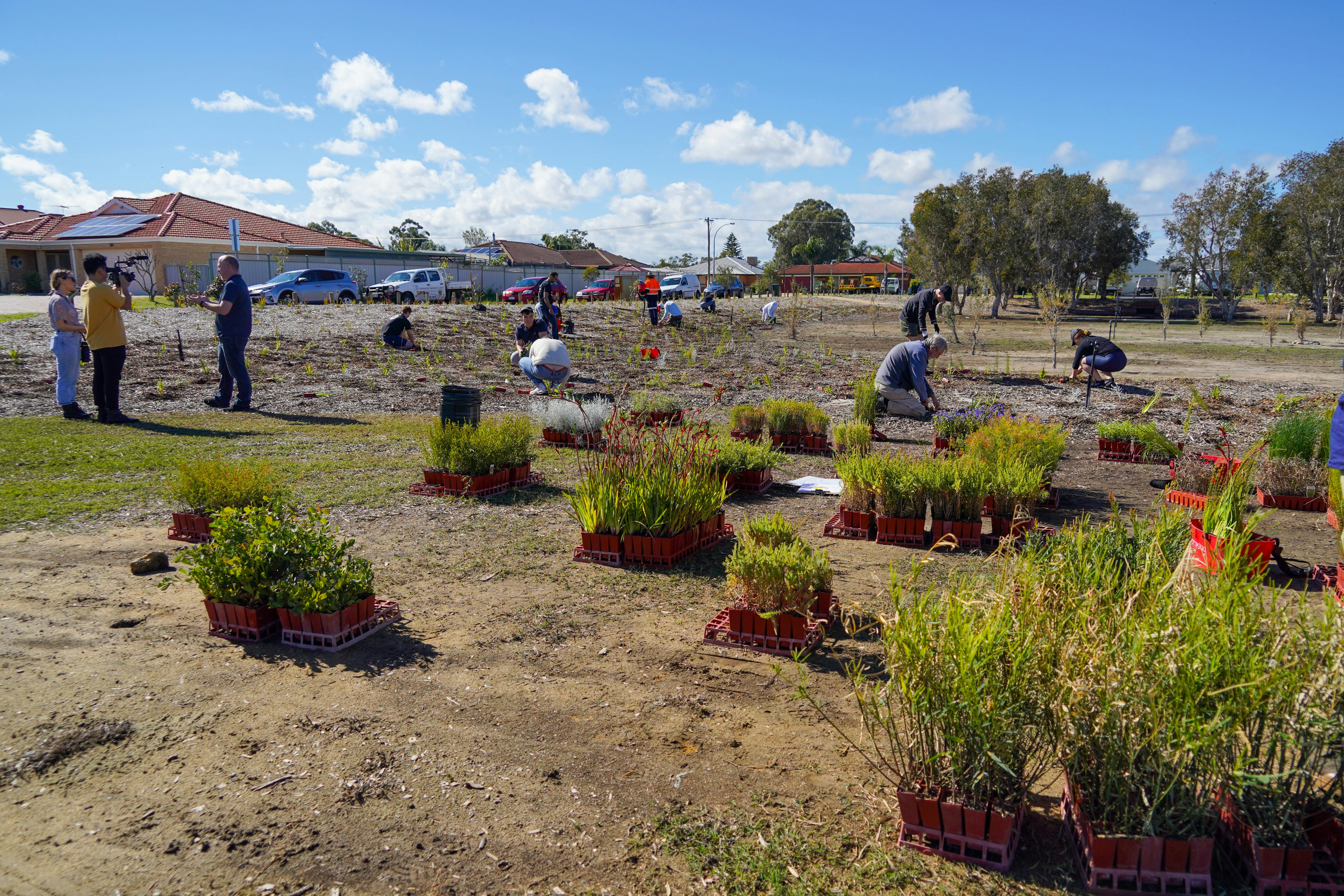 Groundlark Park Planting - Jesse Collins 07.jpg