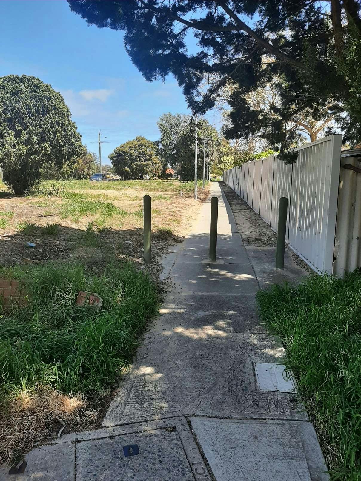 PAW - Doig-Caesar 2.jpg