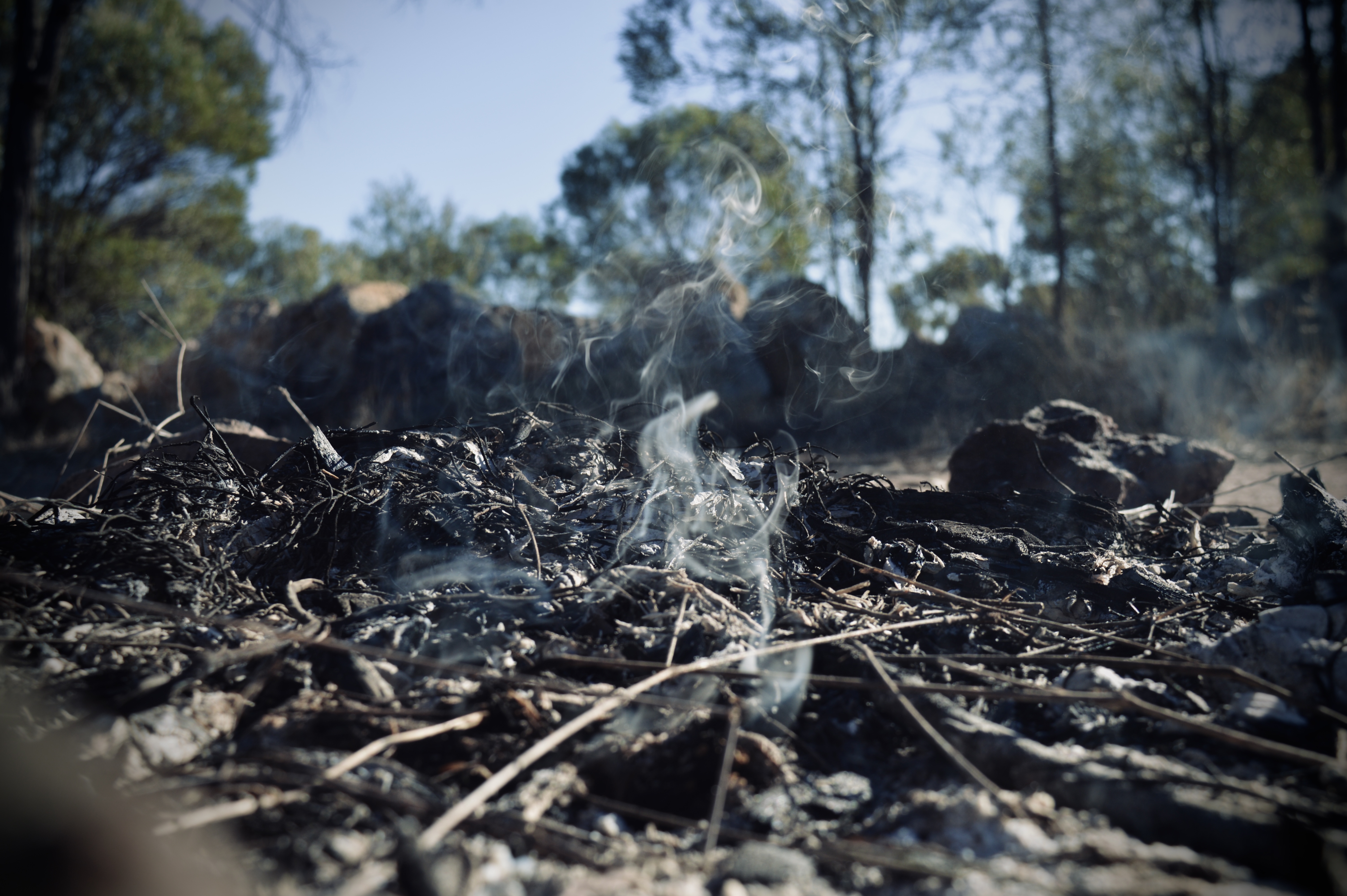 Hunter Leitch - From The Ashes