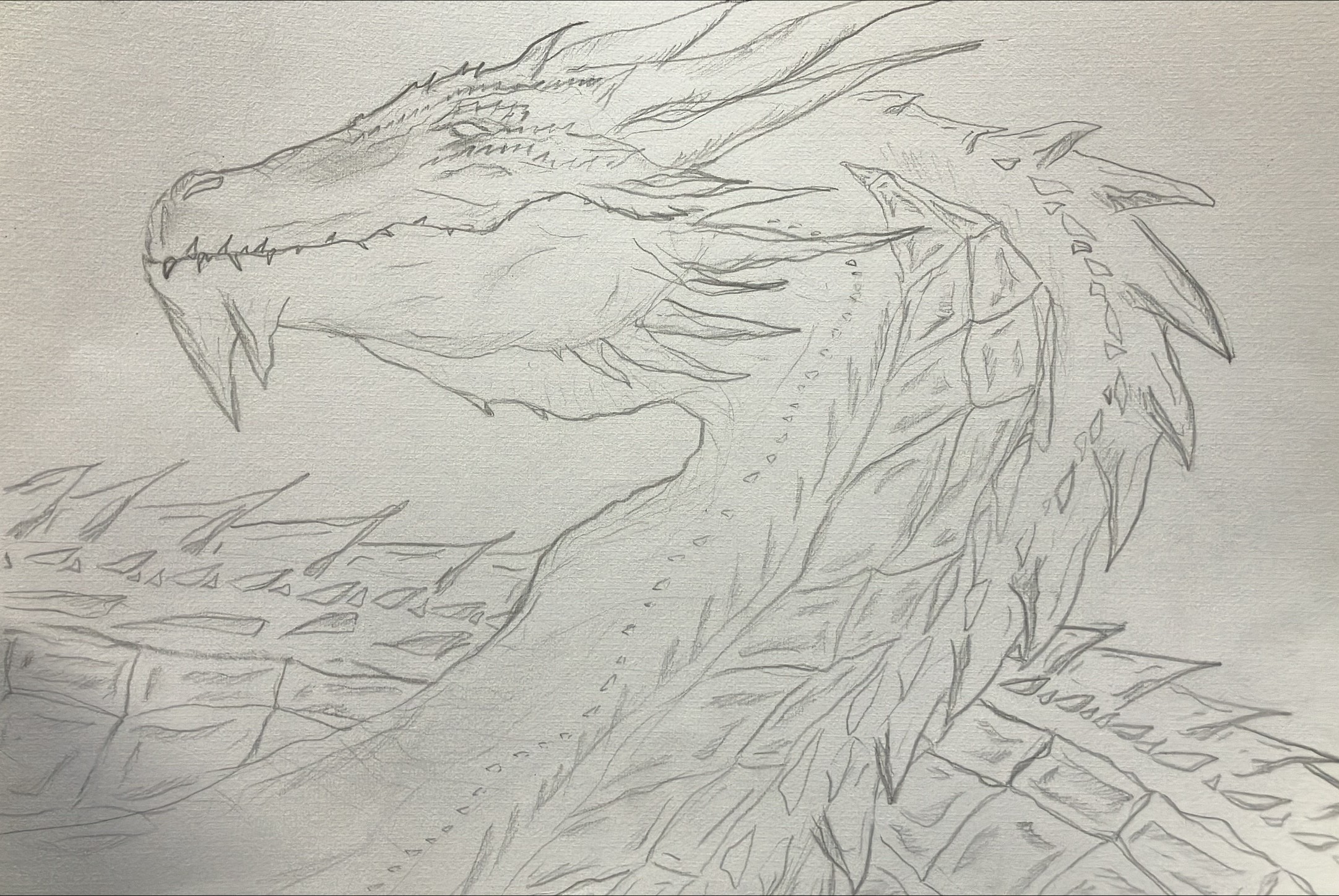 63 - Lorenzo Litzow - The Dragon