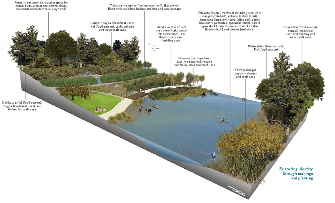 Restoring identity through mahinga kai planting