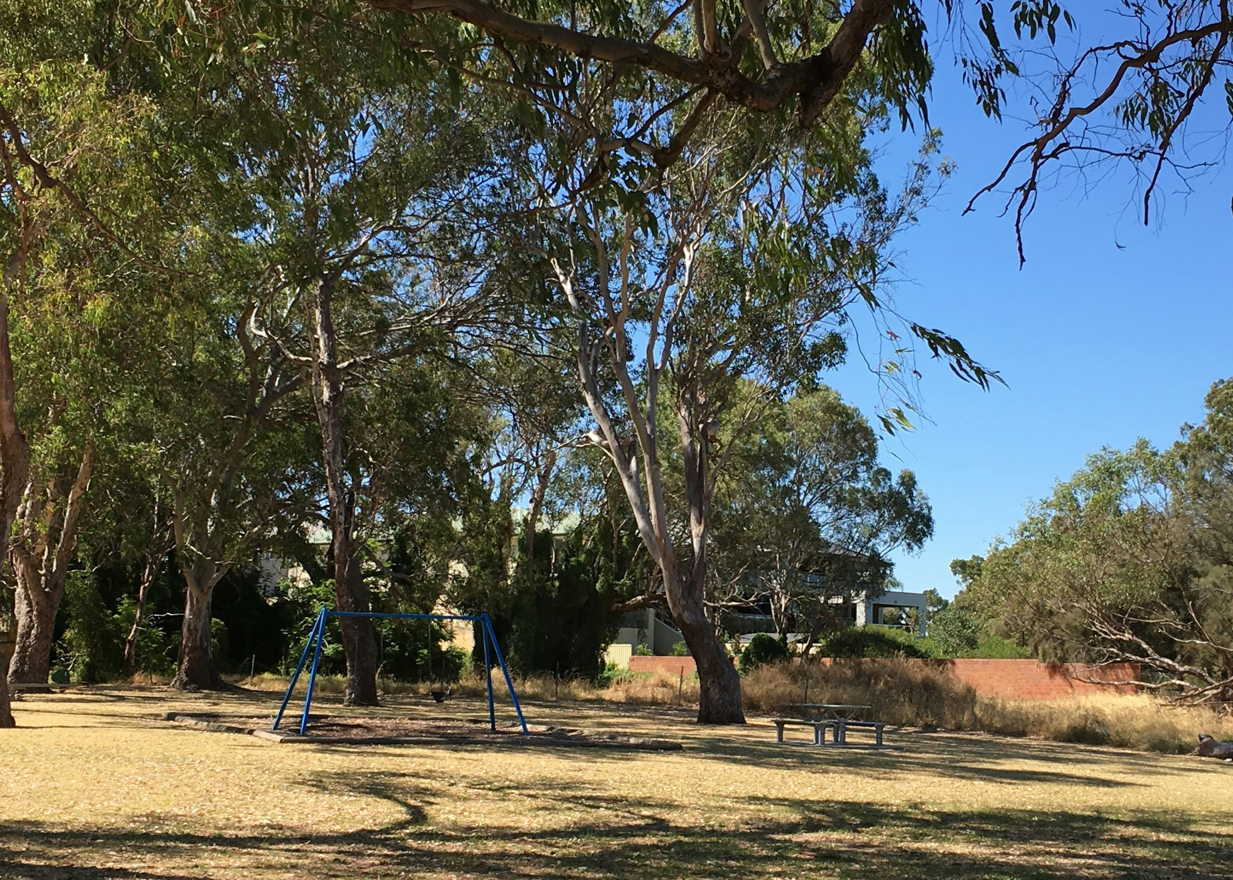 Existing swings at Claughton Reserve