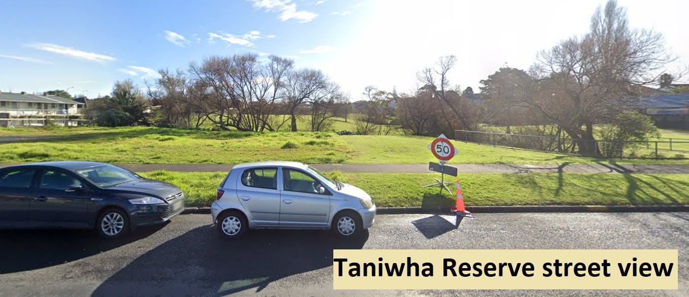 taniwha st view - final.PNG