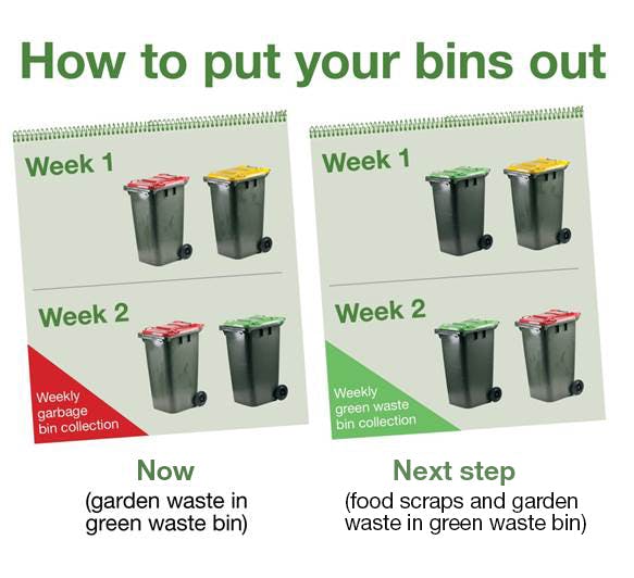 How to put your bins out