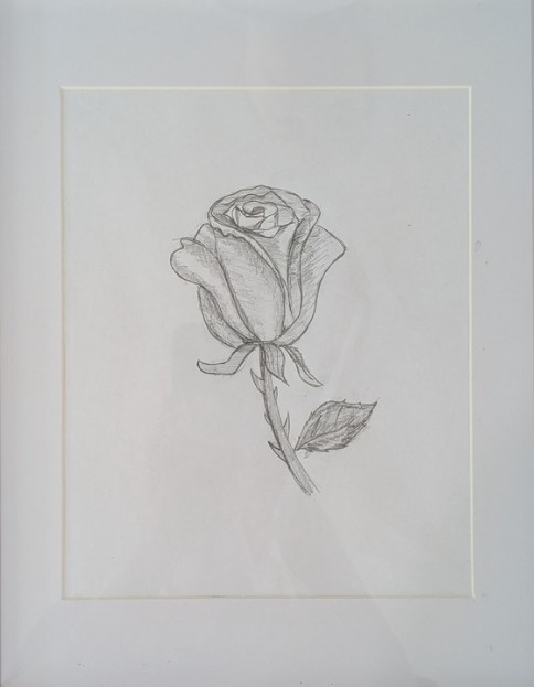 Sarah Mobbs - Rose