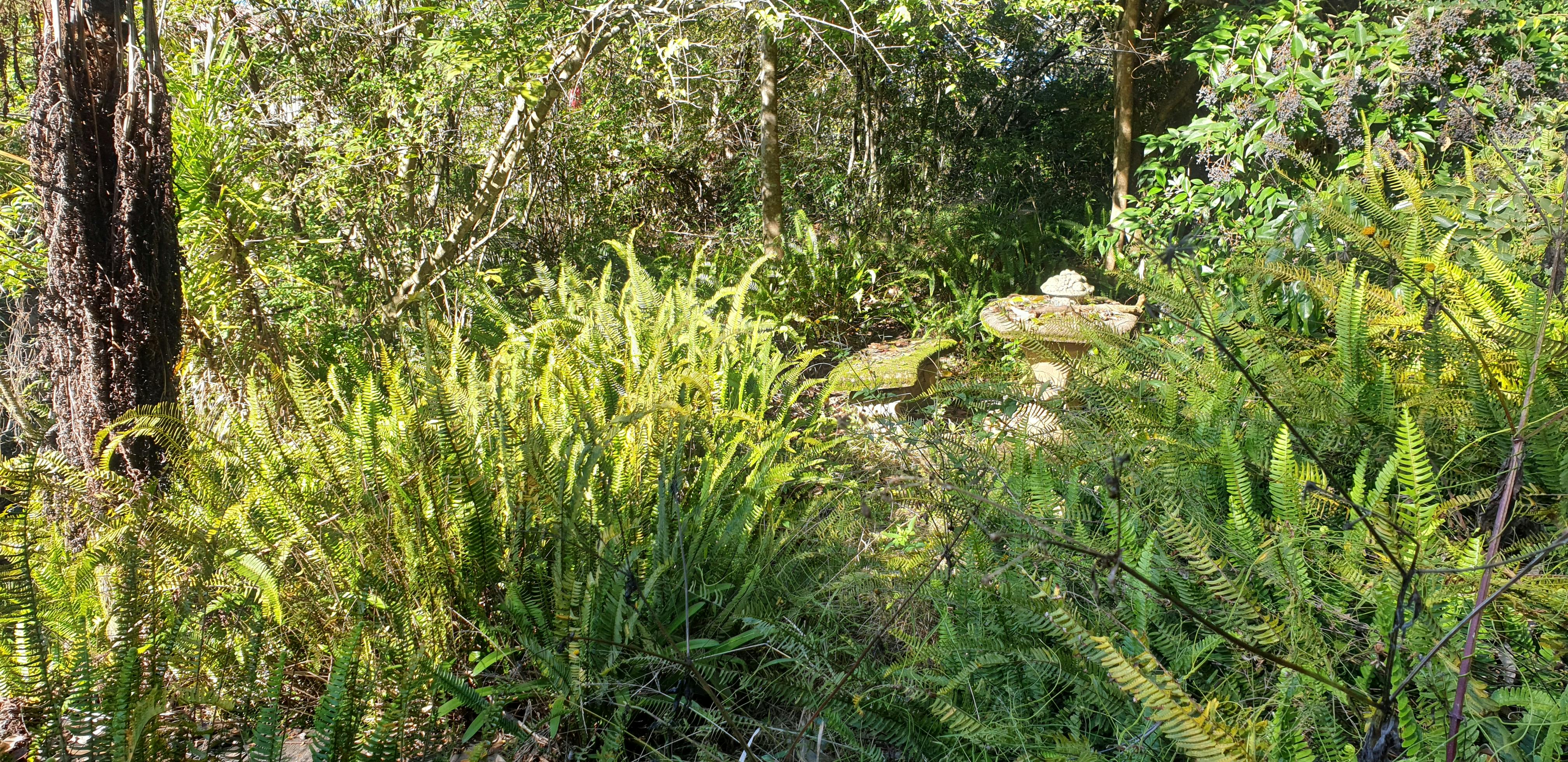 Vegetation