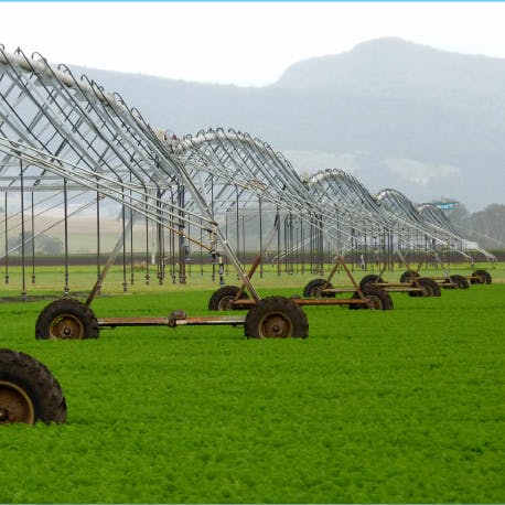 irrigators