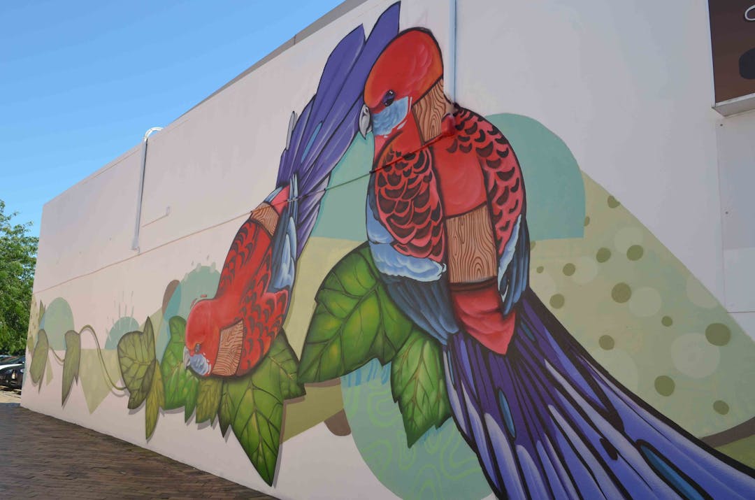 New Mural - Artist Janne Atron Krimsone commissioned by Chase Murray