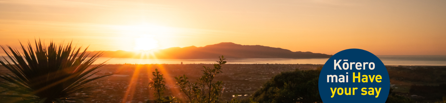 Sunset over Kāpiti Island, with a cabbage tree in the foreground and "Kōrero mai, have your say" in a blue bubble.
