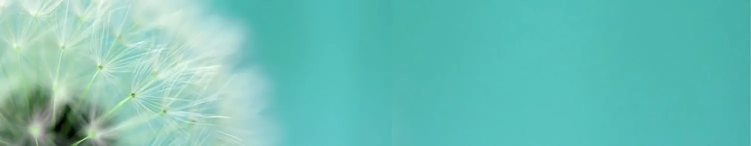 project banner