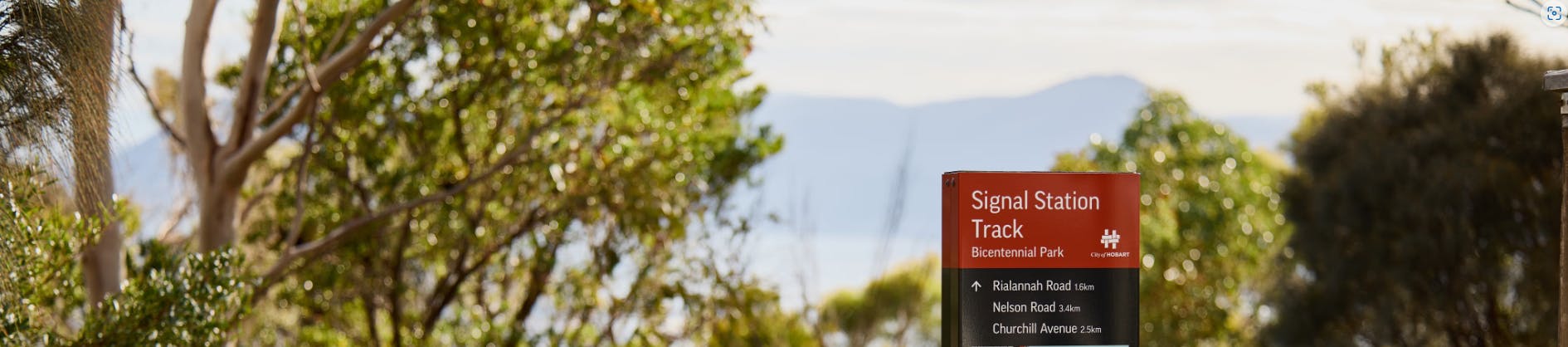 Panoramic view over Mount Nelson