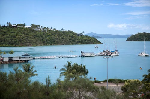 Shute Harbour jetty