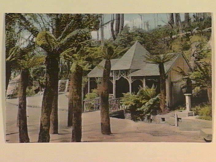 Fern Tree Bower ca 1907
